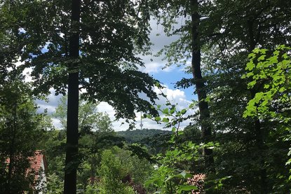 Wandern im Teutoburger Wald