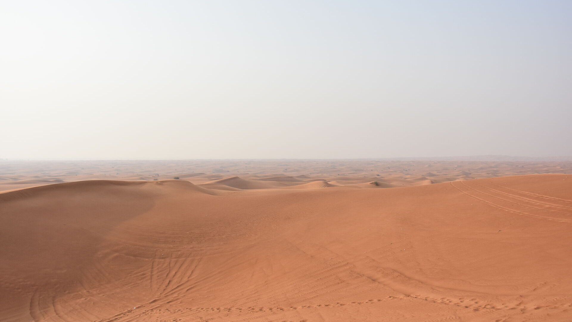Dune 2