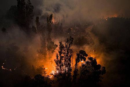 Tote, Vermisste und zahlreiche Verletzte - die Flammen im Süden Chiles sind nicht zu bändigen.
