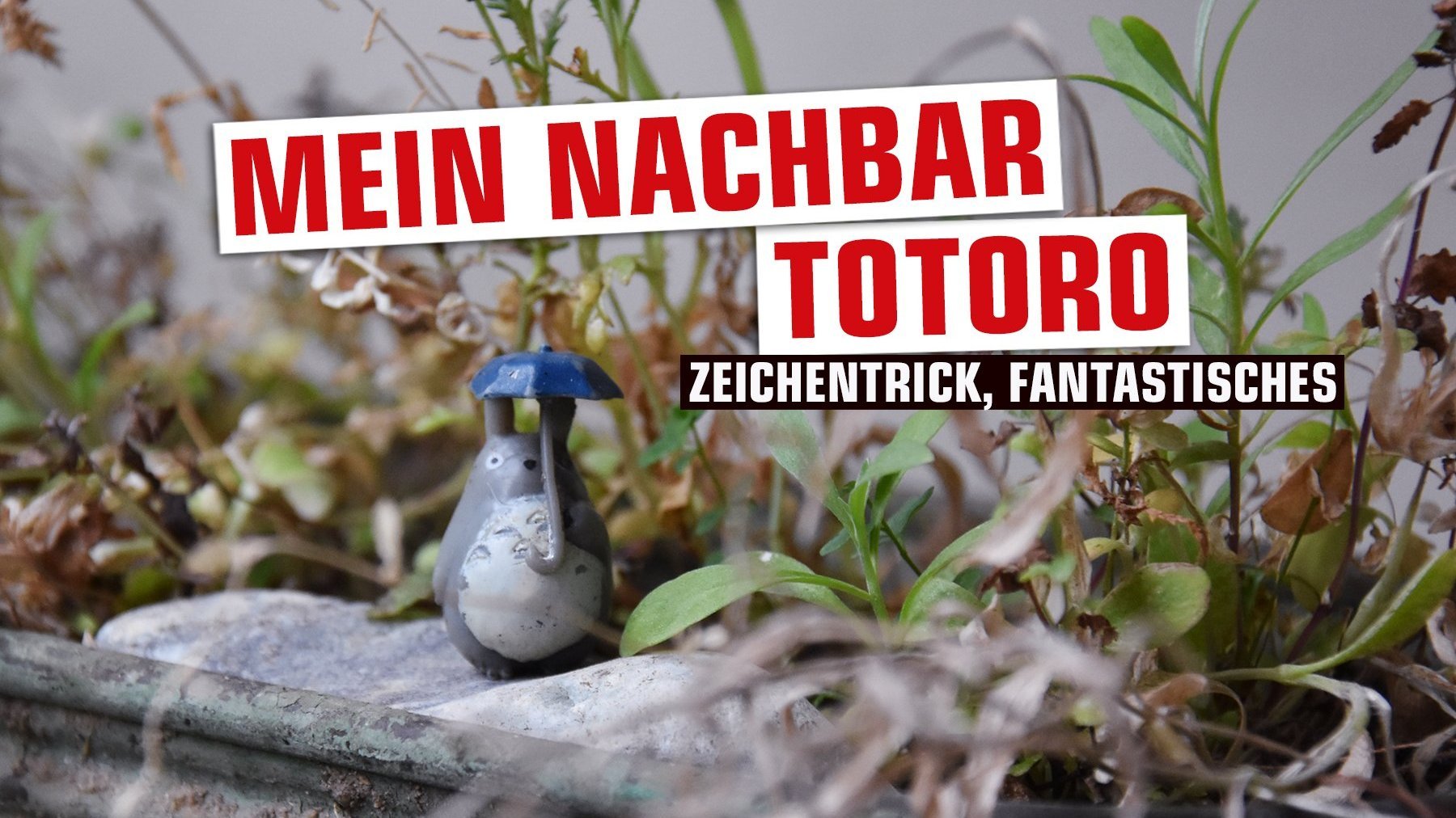 Mein Nachbar Totoro