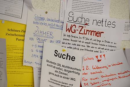 Wohnungsgesuche hängen am Schwarzen Brett der Universität in Konstanz. Zum Semesterbeginn suchen Studenten eine Wohnung oder ein WG-Zimmer.