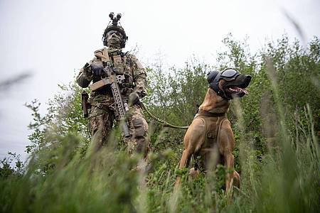 Ein Soldat des Kommando Spezialkräfte (KSK) der Bundeswehr mit einem sogenannten Zugriffsdiensthund.
