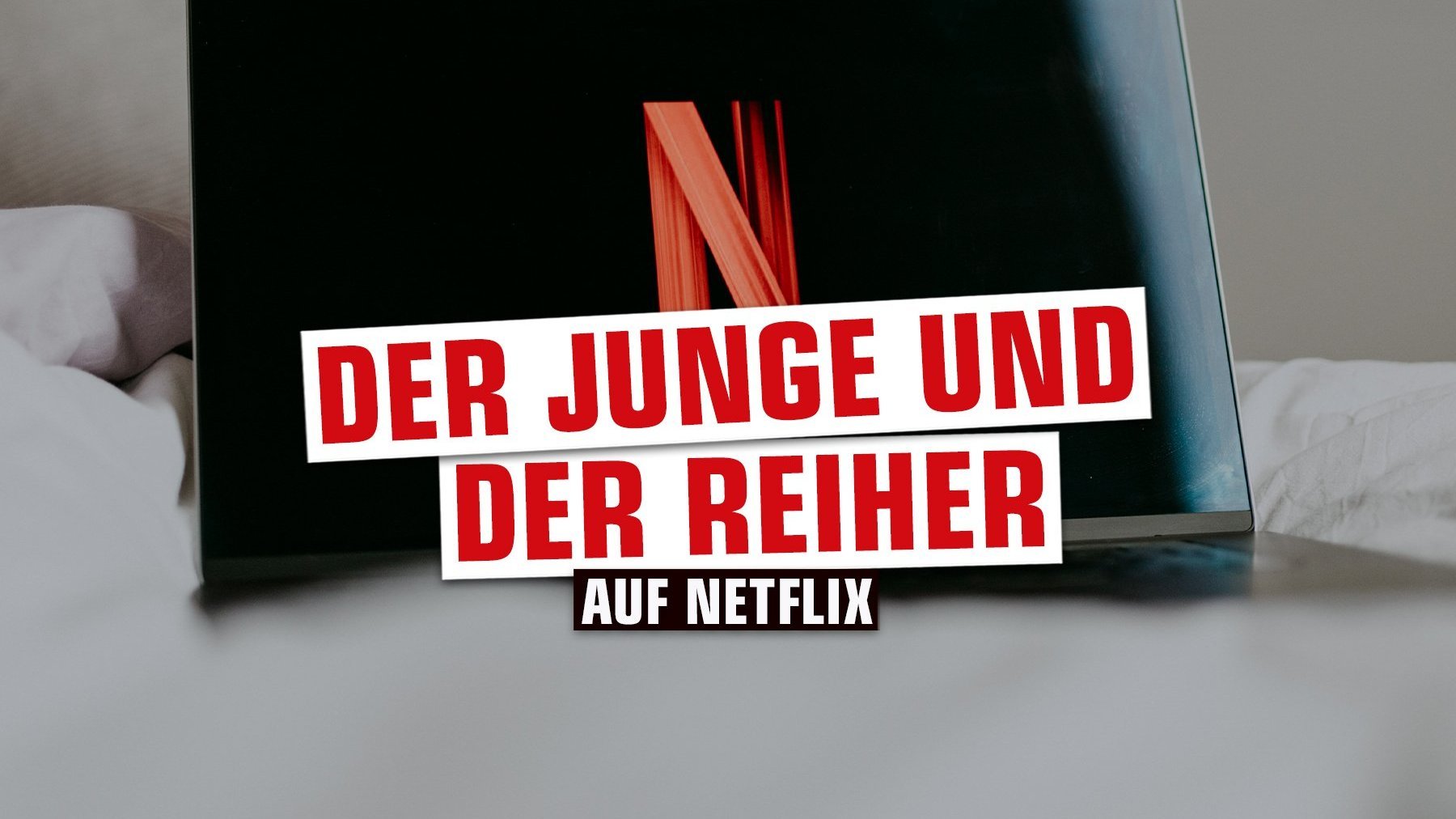 Der Junge und der Reiher