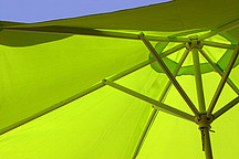 Grüner Sonnenschirm von unten