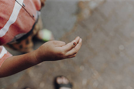 Kinderhand mit einem Marienkäfer auf dem Finger
